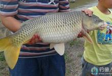 夜钓文昌湖，斩获20多斤大鲤鱼全过程