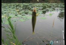 传统钓三大优点以及技术特点详细介绍