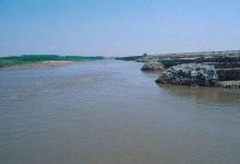 春季钓鲫鱼选位置技巧，初春仲春暮春有区别