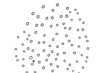 钓大鱼必懂的五个泡相