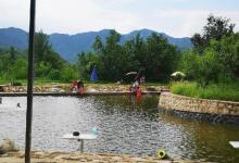 黑坑钓鱼最佳时机分享，想上岸的话就别错过