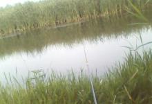 分享一套寻鱼诀，掌握它找鱼窝不再难