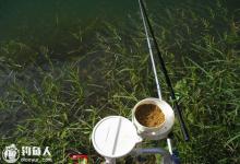 钓鱼要钓草的原因及钓位选择技巧