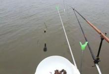 浅谈钓鱼找底的作用及技巧