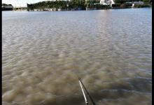 不会遛鱼的钓友经常跑鱼，其实遛鱼很简单