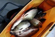 黑坑获得坑冠的垂钓心得，不想被老板坑就来