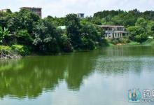 鲤鱼索饵漂相与提竿时机的技巧介绍