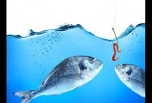 浮漂翩翩起舞怎么办，学习这几招，轻松应对小鱼闹窝