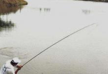 鱼中钩后不会称鱼，切线跑鱼也不奇怪