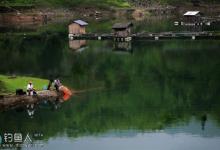 悬坠钓如何应对小鱼闹的干扰