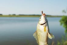 同等条件下，渔获差异巨大原因在哪？换个钓位试试