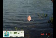 六钓鲢鳙的钩子和钩距分析