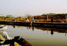 黑坑老板常用坑人手法汇总，及应对技巧分享