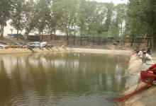 黑坑糗鱼的时候要注意这些细节