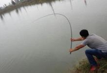 钓位挑选有玄机，你选对了吗