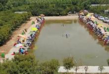 新手玩黑坑，只需学会这3个招，塘见了怕