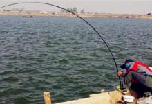 钓鱼常跑鱼，跟这几点脱不了关系，钓友一看便知