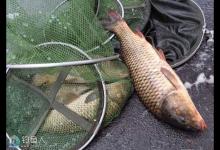 好钓位评判技巧分析