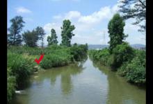 图解野河钓鱼的钓位选择