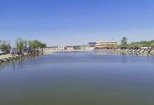 垂钓滑口鱼心得，牢记可提升中鱼率