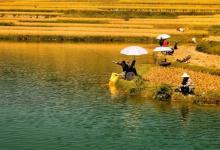 秋季钓鱼，钓时和钓位的选择技巧