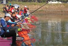 黑坑遍地都是超硬竿，钓不好鱼是有原因的