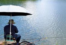 杂鱼闹窝真恼人，怎样才能有效避免呢？