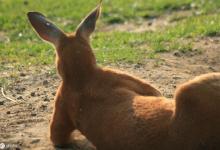 钓个黑坑为啥这么难！玩黑坑，可别刻板，看看这里