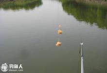 钓鱼提空竿的八大原因和应对技巧