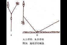 钓鲢鱼和鳙鱼的技巧大全以及经验