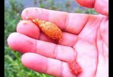 这几个小动作会偷走你的渔获