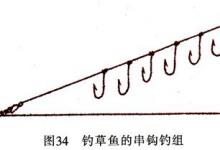 高手分享垂钓草鱼、青鱼的实用技巧[很详细]