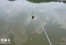 钓鱼脱钩跑鱼的原因及对策方法