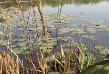 冬季野钓选择钓位的七个技巧