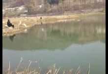 初冬遇到小杂鱼闹钩，3个解决方案帮助你