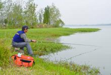 适合各个季节的鸡肠打窝钓白条技巧