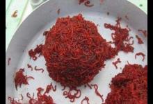 红虫钓鱼真的会有危险吗？看完你就知道了