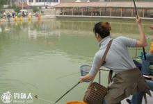 盛夏野钓鲤鱼的遛鱼技巧