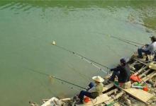 秋季鱼儿扎堆在这些位置，位置选的对，鱼获差不了