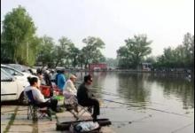 春钓黑坑攻略，弄清楚这些事再去钓黑坑