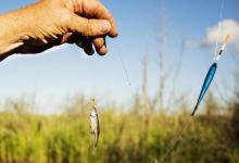 春季就该钓浅水？别误解，选钓位还需因地制宜