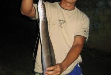 国外钓友在夏威夷钓各种海鱼