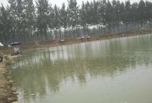 黑坑钓场加氧后，要如何钓鱼才能钓的多