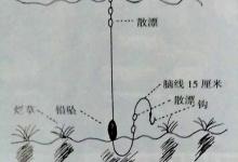高手七星漂巧改钓组应对水底酱层