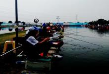 黑坑垂钓鲫鱼、鲤鱼秘诀分享，就是这么几点