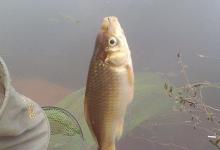 钓位选择的几种简单方法及注意事项