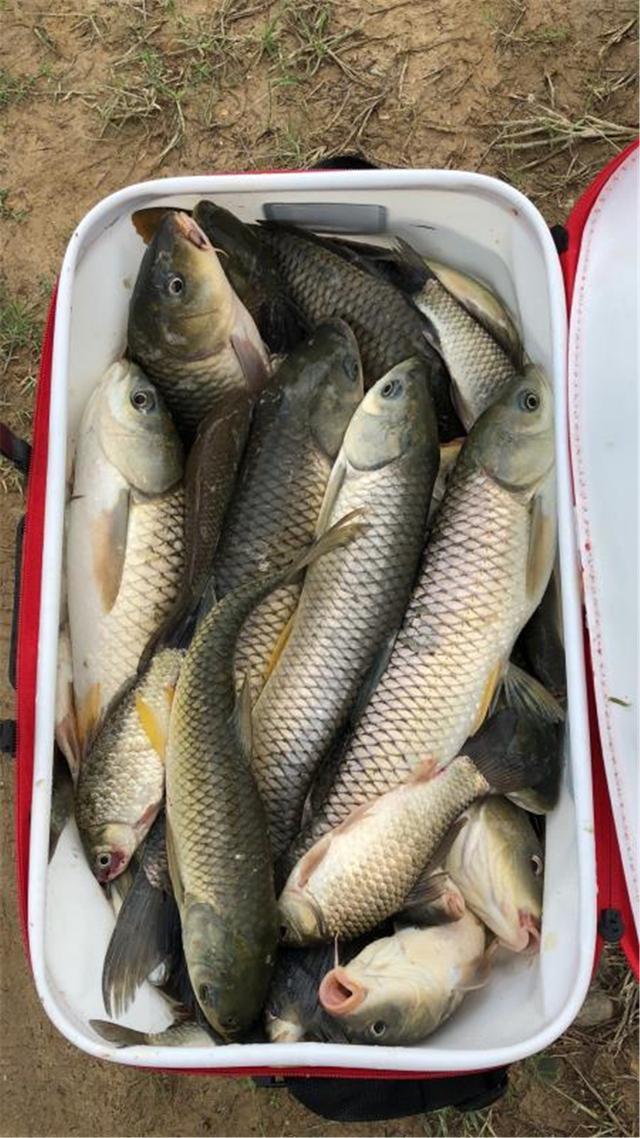 夏天水库野钓的这三个黄金位,爆护渔获_钓鱼技巧_爱钓鱼