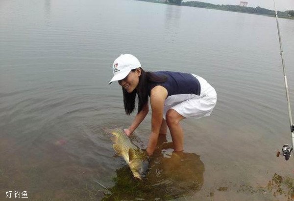 冬季水庫野釣鯉魚的技巧_釣魚技巧_愛釣魚