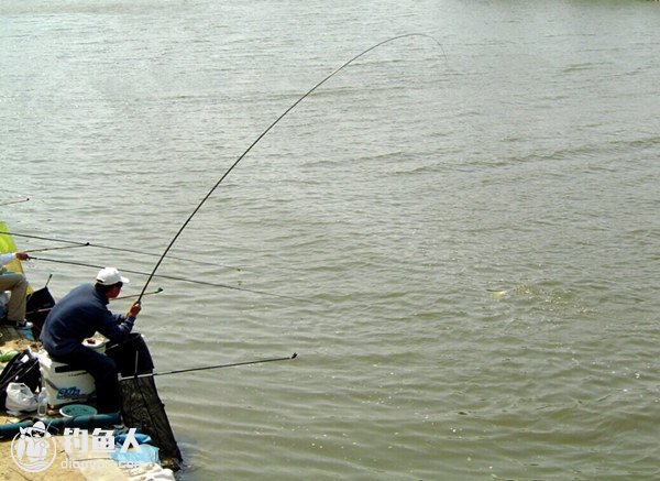 绷尖钓法在黑坑垂钓中的运用