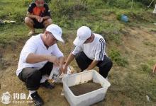 黑坑钓鱼的望闻问切大法，吓哭坑老板